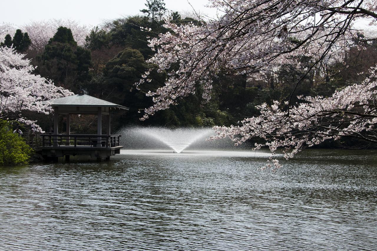 Maidohaya Fukutatei Takaoka Exterior foto